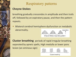 Respiratory patterns
Cheyne-Stokes
breathing gradually crescendos in amplitude and then trails
off, followed by an expiratory pause, and then the pattern
repeats.
 Bilateral cerebral hemisphere dysfunction or metabolic
abnormality.
Cluster breathing periods of rapid irregular breathing
separated by apneic spells, High medulla or lower pons
lesion (an ominous sign)
 