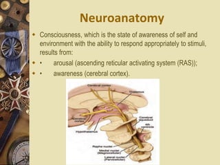 Neuroanatomy
 Consciousness, which is the state of awareness of self and
environment with the ability to respond appropriately to stimuli,
results from:
 • arousal (ascending reticular activating system (RAS));
 • awareness (cerebral cortex).
 
