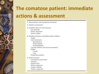 The comatose patient: immediate
actions & assessment
 