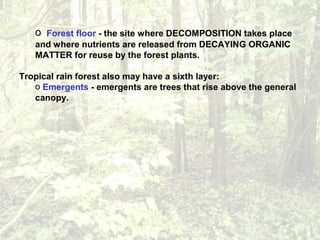 o Forest floor - the site where DECOMPOSITION takes place
and where nutrients are released from DECAYING ORGANIC
MATTER for reuse by the forest plants.
Tropical rain forest also may have a sixth layer:
o Emergents - emergents are trees that rise above the general
canopy.
 