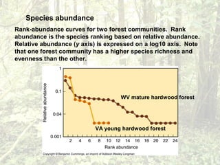 Species abundance
Rank-abundance curves for two forest communities. Rank
abundance is the species ranking based on relative abundance.
Relative abundance (y axis) is expressed on a log10 axis. Note
that one forest community has a higher species richness and
evenness than the other.
WV mature hardwood forest
VA young hardwood forest
 