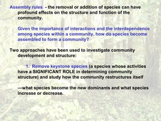 Assembly rules - the removal or addition of species can have
profound effects on the structure and function of the
community.
Given the importance of interactions and the interdependence
among species within a community, how do species become
assembled to form a community?
Two approaches have been used to investigate community
development and structure:
1. Remove keystone species (a species whose activities
have a SIGNIFICANT ROLE in determining community
structure) and study how the community restructures itself
—what species become the new dominants and what species
increase or decrease.
 