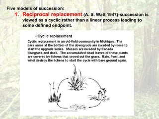 Five models of succession:
1. Reciprocal replacement (A. S. Watt 1947)-succession is
viewed as a cyclic rather than a linear process leading to
some defined endpoint.
 