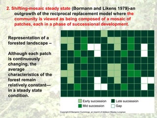 2. Shifting-mosaic steady state (Bormann and Likens 1979)-an
outgrowth of the reciprocal replacement model where the
community is viewed as being composed of a mosaic of
patches, each in a phase of successional development.
Representation of a
forested landscape –
Although each patch
is continuously
changing, the
average
characteristics of the
forest remain
relatively constant—
in a steady state
condition.
 