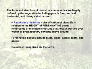 The form and structure of terrestrial communities are largely
defined by the vegetation including growth form, vertical,
horizontal, and biological structure:
o Raunkiaer’s life forms - classification of plant life in
relation to the HEIGHT of PERENNATING tissue
(embryonic or meristemic tissues that remain inactive over
winter or prolonged dry periods) above ground.
Perennating tissues include buds, bulbs, tubers, roots, and
seeds.
Raunkiaer recognized six life forms:
 