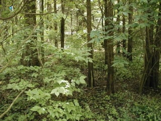 community ecology (RAKESH)