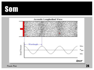 Som
Daniela Pinto 24
 