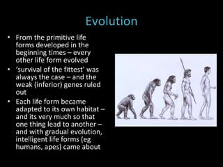 Evolution From the primitive life forms developed in the beginning times – every other life form evolved  ‘ survival of the fittest’ was always the case – and the weak (inferior) genes ruled out Each life form became adapted to its own habitat – and its very much so that one thing lead to another – and with gradual evolution, intelligent life forms (eg humans, apes) came about 