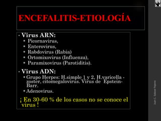 ENCEFALITIS-ETIOLOGÍA
• Virus ARN:
 Picornavirus,
 Enterovirus,
 Rabdovirus (Rabia)
 Ortomixovirus (Influenza),
 Paramixovirus (Parotiditis).
• Virus ADN:
 Grupo Herpes: H.simple 1 y 2, H.varicella -
zoster, citomegalovirus. Virus de Epstein-
Barr.
 Adenovirus.
¡ En 30-60 % de los casos no se conoce el
virus !
JuanC.SalazarPajares
 