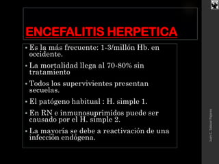 ENCEFALITIS HERPETICA
 Es la más frecuente: 1-3/millón Hb. en
occidente.
 La mortalidad llega al 70-80% sin
tratamiento
 Todos los supervivientes presentan
secuelas.
 El patógeno habitual : H. simple 1.
 En RN e inmunosuprimidos puede ser
causado por el H. simple 2.
 La mayoría se debe a reactivación de una
infección endógena.
JuanC.SalazarPajares
 