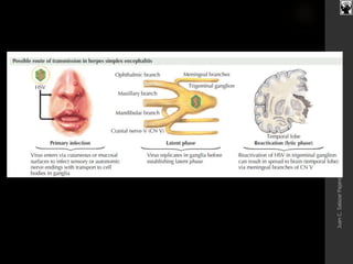 JuanC.SalazarPajares
 