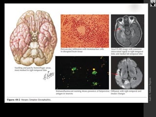 JuanC.SalazarPajares
 