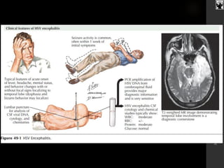 JuanC.SalazarPajares
 