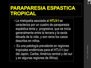 PARAPARESIA ESPASTICA
TROPICAL
 La mielopatía asociada al HTLV-I se
caracteriza por un cuadro de paraparesia
espástica lenta y progresiva, que se inicia
generalmente entre la tercera y la sexta
década de la vida, y son raros los casos
descritos en niños.
 Es una patología prevalente en regiones
tropicales endémicas para el HTLV-I (sur
del Japón, Caribe, América central y del sur
y en algunas regiones de África).
JuanC.SalazarPajares
 