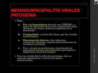 MENINGOENCEFALITIS VIRALES
PATOGENIA
 Vías :
a. Por vía hematógena durante una VIREMIA : a
partir de infecciones de las vías respiratorias altas
,fracturas de cráneo, defectos congénitos de la
duramadre.
b. Continuidad: a través del cráneo, por las vénulas
nasofaríngeas.
c. Diseminación directa : foco infeccioso
subyacente (sinusitis, ruptura intraventricular de
un absceso cerebral).
d. Post –cirugía /procedimientos: introducción de
organismos durante procedimientos quirúrgicos o
diagnósticos (punción lumbar).
 Una vez establecida la infección meníngea, ésta se
extiende rápidamente a través del espacio
subaracnoideo.
JuanC.SalazarPajares
 