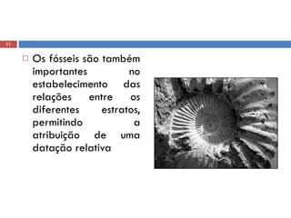 Os fósseis são também importantes no estabelecimento das relações entre os diferentes estratos, permitindo a atribuição de uma datação relativa 