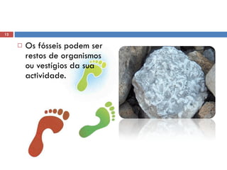 Os fósseis podem ser restos de organismos ou vestígios da sua actividade.  