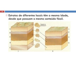 Estratos de diferentes locais têm a mesma idade, desde que possuam o mesmo conteúdo fóssil.  
