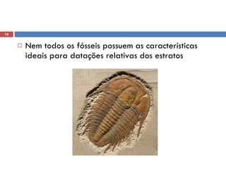 Nem todos os fósseis possuem as características ideais para datações relativas dos estratos 