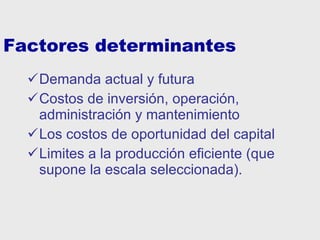 Factores determinantes Demanda actual y futura Costos de inversión, operación, administración y mantenimiento Los costos de oportunidad del capital Limites a la producción eficiente (que  supone la escala seleccionada). 