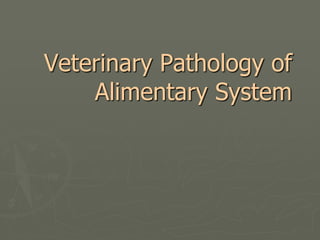 Veterinary Pathology of
Alimentary System
 
