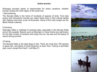 Active tourism Dobrogea provides plenty of opportunities for active vacations, whether tourists choose the north region or the south one.  1.Bird-watching The Danube Delta is the home of hundreds of species of birds. From late spring until mid-autumn tourists can watch these birds in their natural habitat with nothing more than a pair of binoculars. Some of the most sought are the Black Pelican colonies. 2.Camping  Dobrogea offers a multitude of camping sites, especially in the Danube Delta and on the seaside. Resorts such as Navodari or Vama Veche are well known for the high number of campers who enjoy the sun, the sea and the beauty of nature during summer.  3.Fishing The Danube Delta is the ideal place to fish. There are more than 160 species of game fish, and plenty of local fishermen to learn from. Fishing is permitted year round, except from April 1 until May 31.  