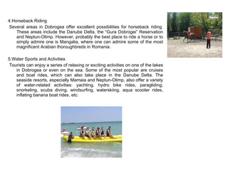 4.Horseback Riding   Several areas in Dobrogea offer excellent possibilities for horseback riding. These areas include the Danube Delta, the “Gura Dobrogei” Reservation and Neptun-Olimp. However, probably the best place to ride a horse or to simply admire one is Mangalia, where one can admire some of the most magnificent Arabian thoroughbreds in Romania.    5.Water Sports and Activities   Tourists can enjoy a series of relaxing or exciting activities on one of the lakes in Dobrogea or even on the sea. Some of the most popular are cruises and boat rides, which can also take place in the Danube Delta. The seaside resorts, especially Mamaia and Neptun-Olimp, also offer a variety of water-related activities: yachting, hydro bike rides, paragliding, snorkeling, scuba diving, windsurfing, waterskiing, aqua scooter rides, inflating banana boat rides, etc.  