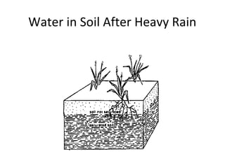 The main aims of Field drainage include:
i) To bring soil moisture down from saturation to field capacity.
At field capaci...