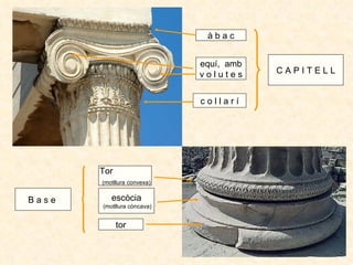 à b a c equí,  amb v o l u t e s c o l l a r í C A P I T E L L B a s e  Tor (motllura convexa) escòcia (motllura còncava) ...