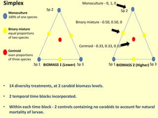 Simplex                                        Monoculture - 0, 1, 0
                           Sp 2                                            Sp 2
  Monoculture
  100% of one species
                                           Binary mixture - 0.50, 0.50, 0
  Binary mixture
  equal proportions
  of two species

                                             Centroid - 0.33, 0.33, 0.33
  Centroid
  even proportions
  of three species
                     Sp 1 BIOMASS 1 (Lower) Sp 3                Sp 1 BIOMASS 2 (Higher) Sp 3




• 14 diversity treatments, at 2 carabid biomass levels.

• 2 temporal time blocks incorporated.

• Within each time block - 2 controls containing no carabids to account for natural
  mortality of larvae.
 