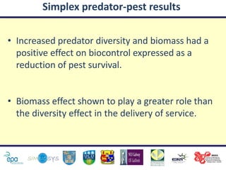 Simplex predator-pest results

• Increased predator diversity and biomass had a
  positive effect on biocontrol expressed as a
  reduction of pest survival.


• Biomass effect shown to play a greater role than
  the diversity effect in the delivery of service.
 
