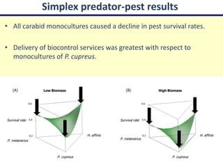 Simplex predator-pest results
• All carabid monocultures caused a decline in pest survival rates.

• Delivery of biocontrol services was greatest with respect to
  monocultures of P. cupreus.



   (A)                 Low Biomass                                      (B)                   High Biomass


                0.6                                                                  0.6




Survival rate   0.4                                                  Survival rate   0.4




                              0.00                    1.00                                         0.00                         1.00

                0.2
                1.00                                    H. affinis                   0.2
                                                                                     1.00                                        H. affinis
P. melanarius                                                        P. melanarius
                                               0.00                                                                      0.00
                       0.00                                                                 0.00


                                             1.00                                                                      1.00


                                P. cupreus                                                                P. cupreus
 