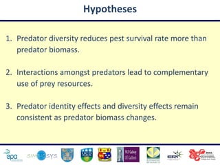 Hypotheses

1. Predator diversity reduces pest survival rate more than
   predator biomass.

2. Interactions amongst predators lead to complementary
   use of prey resources.

3. Predator identity effects and diversity effects remain
   consistent as predator biomass changes.
 
