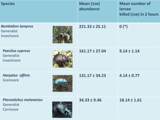 Species                   Mean (±se)       Mean number of
                          abundance        larvae
                                           killed (±se) in 2 hours

Bembidion lampros         221.33 ± 25.11   0 (*)
Generalist
Insectivore


Poecilus cupreus          161.17 ± 27.04   9.14 ± 1.14
Generalist
Insectivore


Harpalus affinis          131.17 ± 34.23   4.14 ± 0.77
Granivore



Pterostichus melanarius   34.33 ± 9.46     18.14 ± 1.61
Generalist
Carnivore
 