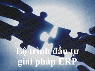 Lộ trình đầu tư
giải pháp ERP
  © VIAMI Training - training@viamisoftware.com
 