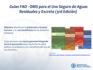 Guias FAO - OMS para el Uso Seguro de Aguas
Residuales y Excreta (3rd Edición)
Objetivo: Maximizar la protección a la salu...