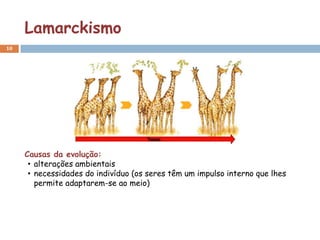 Lamarckismo
10




     Causas da evolução:
      • alterações ambientais
      • necessidades do indivíduo (os seres têm um impulso interno que lhes
        permite adaptarem-se ao meio)
 