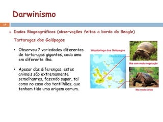 Darwinismo
19

        Dados Biogeográficos (observações feitas a bordo do Beagle)

         Tartarugas dos Galápagos

         • Observou 7 variedades diferentes
           de tartarugas gigantes, cada uma
           em diferente ilha.

         • Apesar das diferenças, estes
           animais são extremamente
           semelhantes, fazendo supor, tal
           como no caso dos tentilhões, que
           tenham tido uma origem comum.
 