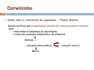 Darwinismo
23


        Dados sobre o crescimento das populações - Thomas Malthus

         Darwin verificou que as populações animais não crescem geometricamente
          pois:
              • nem todos os indivíduos se reproduzem
              • a falta de condições ambientais e de alimentos

                       doenças …..

                       ... luta pela sobrevivência     Seleção natural

                              Morte
 