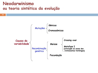 Neodarwinismo
 ou teoria sintética da evolução
33
 