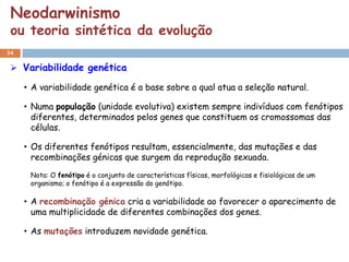Neodarwinismo
 ou teoria sintética da evolução
34

  Variabilidade genética

     • A variabilidade genética é a base sobre a qual atua a seleção natural.

     • Numa população (unidade evolutiva) existem sempre indivíduos com fenótipos
       diferentes, determinados pelos genes que constituem os cromossomas das
       células.

     • Os diferentes fenótipos resultam, essencialmente, das mutações e das
       recombinações génicas que surgem da reprodução sexuada.
      Nota: O fenótipo é o conjunto de características físicas, morfológicas e fisiológicas de um
      organismo; o fenótipo é a expressão do genótipo.

     • A recombinação génica cria a variabilidade ao favorecer o aparecimento de
       uma multiplicidade de diferentes combinações dos genes.

     • As mutações introduzem novidade genética.
 