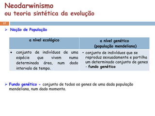 Neodarwinismo
 ou teoria sintética da evolução
37

  Noção de População

             a nível ecológico                    a nível genético
                                               (população mendeliana)
       conjunto de indivíduos de uma     • conjunto de indivíduos que se
       espécie     que     vivem numa      reproduz sexuadamente e partilha
       determinada área, num dado          um determinado conjunto de genes
       intervalo de tempo.                 - fundo genético



  Fundo genético - conjunto de todos os genes de uma dada população
   mendeliana, num dado momento.
 