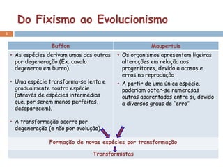 Do Fixismo ao Evolucionismo
5


                   Buffon                               Maupertuis
    • As espécies derivam umas das outras   • Os organismos apresentam ligeiras
      por degeneração (Ex. cavalo             alterações em relação aos
      degenerou em burro).                    progenitores, devido a acasos e
                                              erros na reprodução
    • Uma espécie transforma-se lenta e     • A partir de uma única espécie,
      gradualmente noutra espécie             poderiam obter-se numerosas
      (através de espécies intermédias        outras aparentadas entre si, devido
      que, por serem menos perfeitas,         a diversos graus de “erro”
      desaparecem).

    • A transformação ocorre por
      degeneração (e não por evolução)

                  Formação de novas espécies por transformação

                                   Transformistas
 