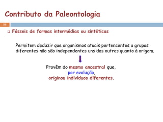 Contributo da Paleontologia
56

        Fósseis de formas intermédias ou sintéticas


          Permitem deduzir que organismos atuais pertencentes a grupos
          diferentes não são independentes uns dos outros quanto à origem.


                        Provêm do mesmo ancestral que,
                                   por evolução,
                         originou indivíduos diferentes.
 