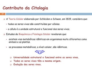 Contributo da Citologia
57


    A Teoria Celular elaborada por Schleiden e Schwan, em 1839, considera que:

        todos os seres vivos são constituídos por células.

        a célula é a unidade estrutural e funcional dos seres vivos.

    Estudos de Bioquímica e Fisiologia Celular revelaram que:

        existem vias metabólicas idênticas em organismos muito diferentes como
         animais e as plantas.

        os processos metabólicos, a nível celular, são idênticos.



             Universalidade estrutural e funcional entre os seres vivos.
             Todos os seres vivos têm a mesma origem.
             Evolução dos seres vivos.
 