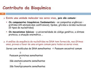 Contributo da Bioquímica
64


    Existe uma unidade molecular nos seres vivos, pois são comuns:
      Os componentes bioquímicos fundamentais – os compostos orgânicos –
       prótidos (20 aminoácidos codificáveis), lípidos, glícidos e ácidos nucleicos
       (5 tipos de nucleótidos)
      Os mecanismos básicos – a universalidade do código genético, a síntese
       proteica, a atuação enzimática …


    A análise da sequência de nucleótidos no DNA tem fornecido, nos últimos
     anos, provas a favor de uma origem comum para todos os seres vivos.
     Seres com moléculas de DNA semelhantes  Possuem ancestral comum
                 
        Possuem proteínas semelhantes
                 
        São anatomicamente semelhantes
                 
        São fenotipicamente semelhantes
 