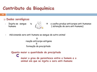 Contributo da Bioquímica
68


        Dados sorológicos
     -    Injeta-se sangue                      o coelho produz anticorpos anti-humanos
          humano                                   ( obtenção de soro anti-humano)


     -     Adicionando soro anti-humano ao sangue de outro animal
                                    
                          reação anticorpo-antigene
                                   
                          formação de precipitado

            Quanto maior a quantidade de precipitado

                      maior o grau de parentesco entre o homem e o
                      animal em que se injeta o soro anti-humano
 