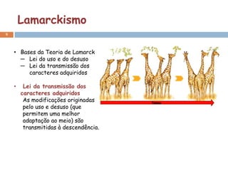Lamarckismo
9



    • Bases da Teoria de Lamarck
      ─ Lei do uso e do desuso
      ─ Lei da transmissão dos
         caracteres adquiridos

    •    Lei da transmissão dos
        caracteres adquiridos
         As modificações originadas
         pelo uso e desuso (que
         permitem uma melhor
         adaptação ao meio) são
         transmitidas à descendência.
 