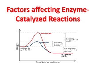 Factors affecting EnzymeCatalyzed Reactions

 