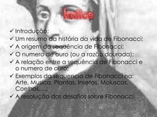  Introdução;
 Um resumo da história da vida de Fibonacci;
 A origem da sequência de Fibonacci;
 O numero de ouro (ou a razão dourada);
 A relação entre a sequência de Fibonacci e
  o numero de ouro;
 Exemplos da sequencia de Fibonacci na:
  Arte, Musica, Plantas, Insetos, Moluscos,
  Coelhos,…;
 A resolução dos desafios sobre Fibonacci.
 